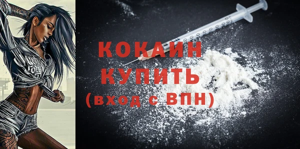 сатива Кукмор