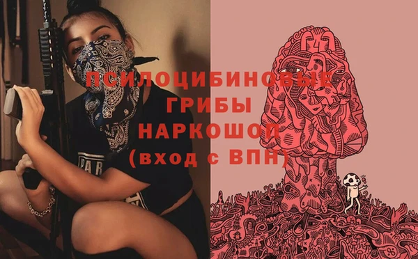 сатива Кукмор