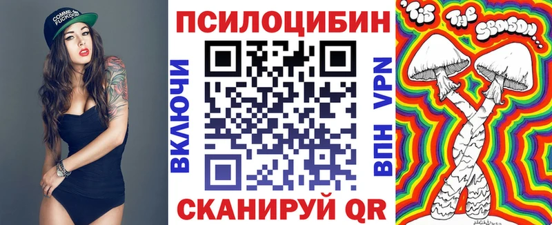 Купить где  Арамиль  Псилоцибиновые грибы GOLDEN TEACHER 